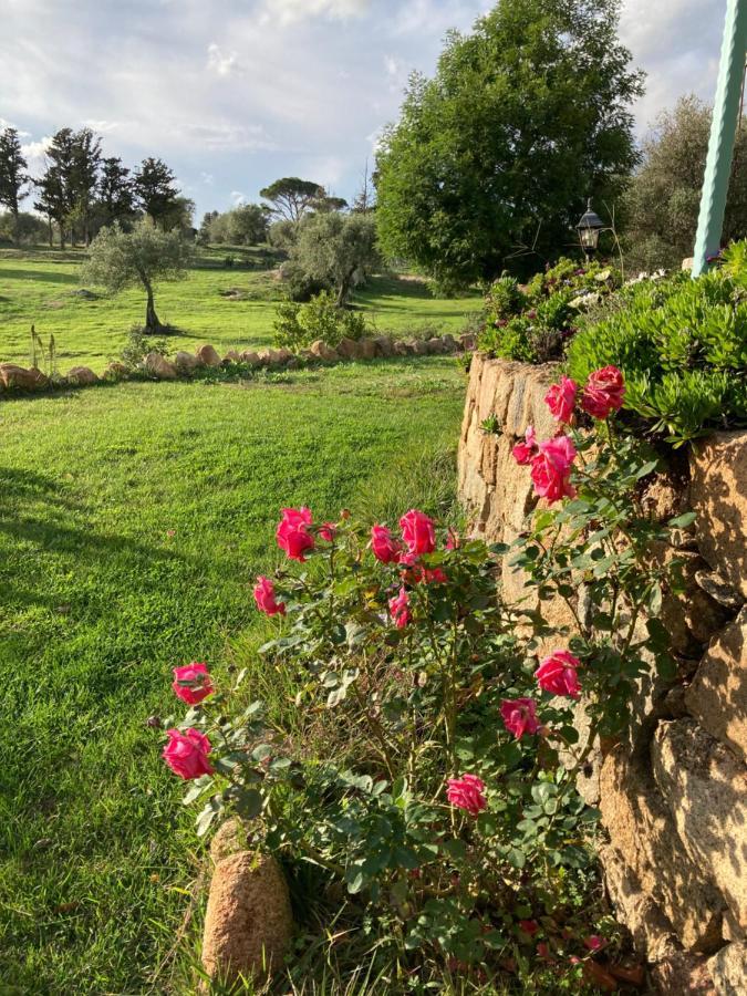 Agriturismo Is Conchisceddas Gonnosfanadiga Bagian luar foto