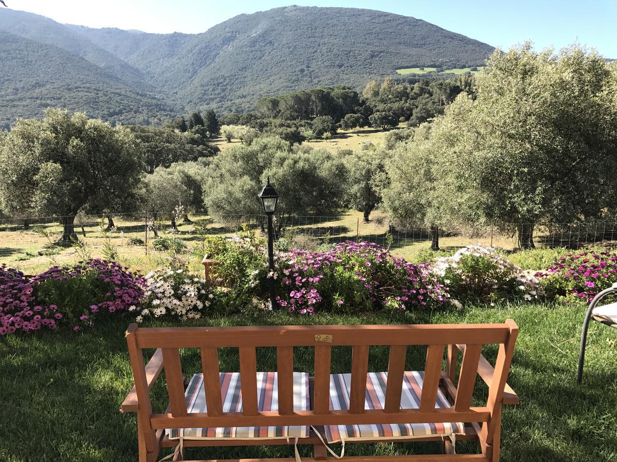Agriturismo Is Conchisceddas Gonnosfanadiga Bagian luar foto