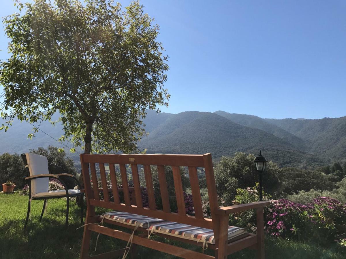 Agriturismo Is Conchisceddas Gonnosfanadiga Bagian luar foto